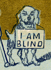 dog with an I am blind sign